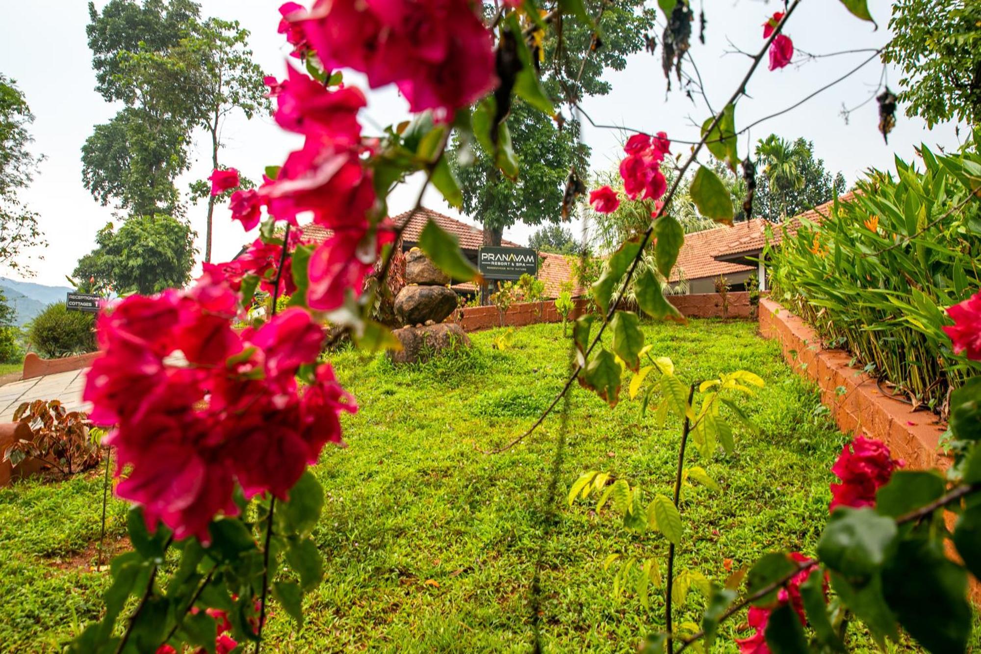 Pranavam Resort & Spa Tariyod Exteriér fotografie